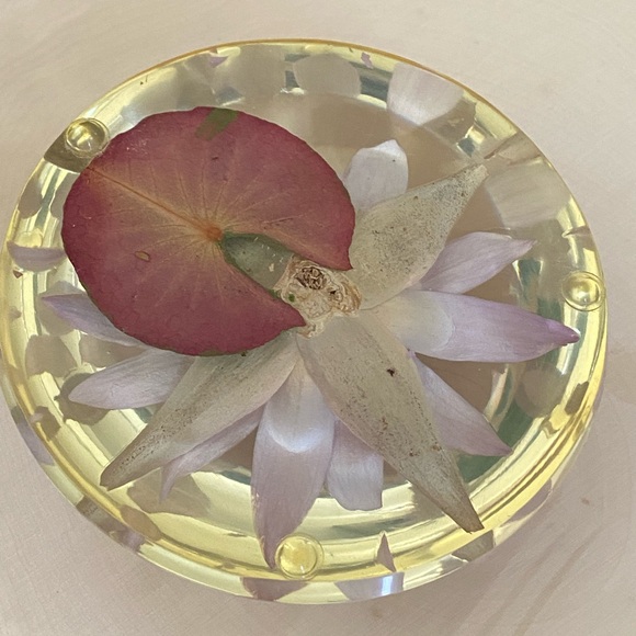 Vintage Lucite Dried Flower Domed Desk Paperweight Clear Plastic Acrylic Decor - Picture 13 of 14